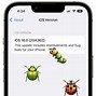Image result for iOS Bug Types