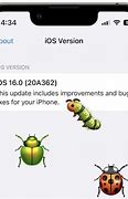 Image result for iOS 16 Greenscreen Bug