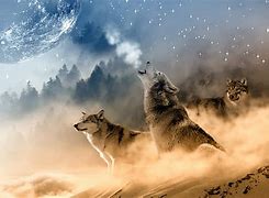 Image result for NBA Wolves