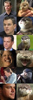 Image result for Seal That Looks Like Matt Damon