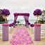 Image result for Wedding Ceremony Decor Ideas