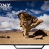 Image result for Sony 48 Television