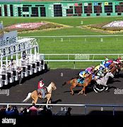 Image result for Pics of Race Horses in Starting Gate