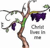 Image result for Jesus Is the Vine Illustration