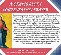 Image result for Certificate of Marian Consecration for 33 Days of Morning Glory