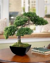 Image result for Artificial Bonsai Tree