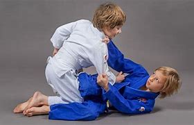 Image result for Brazilian Jiu Jitsu for Toddlers