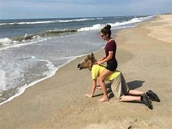 Image result for Overheating Person On Beach Funny Image