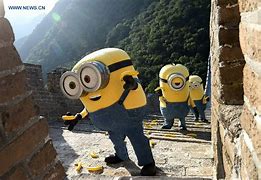 Image result for Minions China Pet