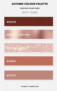 Image result for The Colors Plum and Rose Gold