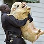 Image result for American Police Funny Movie