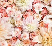 Image result for Rose Gold Desktop Wallpaper