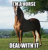 Image result for Expensive Horse Meme