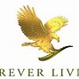Image result for Forever New Logo