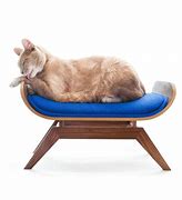 Image result for Lounge Pet Cat