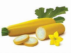 Image result for Yellow T Squash Clip Art