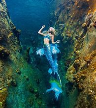 Image result for Show Me a Real Mermaid
