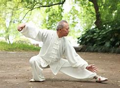 Image result for Tai Chi Arts
