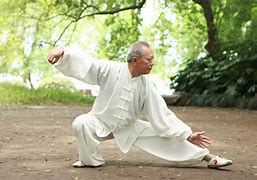 Image result for Tai Chi Moves