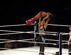 Image result for Brie Bella WWE Clothes Picture