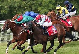 Image result for Goodwood Racing Events