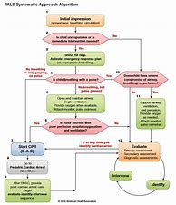 Image result for Systematic Approach Algorithm CPR