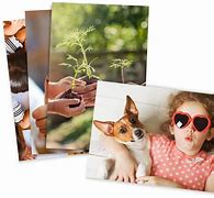 Image result for 4X6 Single Photo Prints
