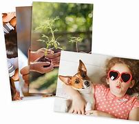 Image result for Loose 4X6 Prints