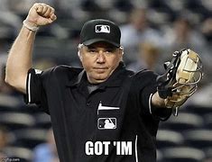Image result for Funny Umpire