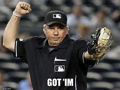 Image result for Funny Baseball Umpires