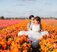 Image result for Netherlands Tulip Fields Wedding Photoshoot