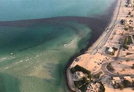 Image result for Kuwait Oil Spill