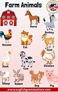 Image result for How Many Farm Animals