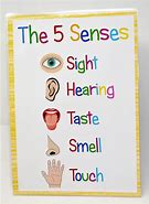 Image result for Five Sense Organs for Kids