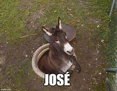Image result for Jose Name Meme
