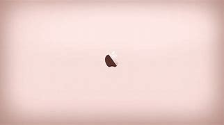 Image result for iPhone 14 Rose Gold