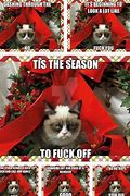 Image result for Grumpy Cat Snow Meme