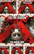 Image result for Funny Cat Christmas Memes
