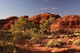 Image result for australia outback