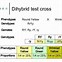 Image result for Dihybrid Cross of Two Genes