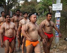 Image result for Indian Wrestling Movie