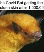 Image result for Ghost Bat Meme