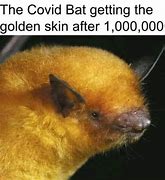 Image result for Bat Meme Angel