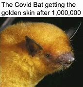 Image result for Ghost Bat Meme