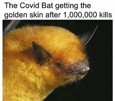 Image result for Corner Gas Bat Meme
