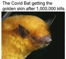 Image result for Old Bat Meme