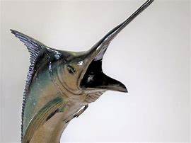 Image result for Marlin Wall Statue