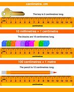 Image result for Things That Are 1 Centimeter Long