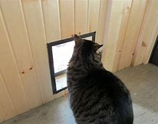 Image result for Cat Doors