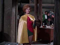 Image result for The Women of Batman TV Series